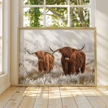 Highland Cows Poster - Shottish Winter, Highland Cows Wall Art Prints, Winter Highland Cow, Highland Cow Decor - Farmhouse Gifts