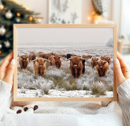 Winter Highland Cows Wall Print - Shottish Winter, Highland Cows Wall Art Posters, Winter Highland Cow, Highland Cow Decor - Farmhouse Gifts